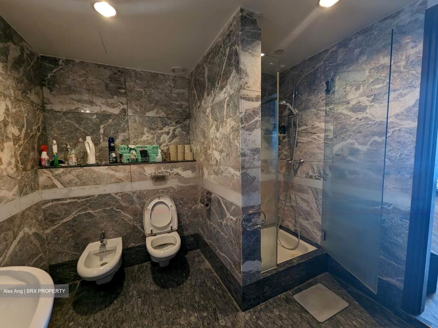 Riverside 48 (D9), Apartment #538127071